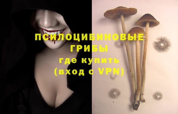 индика Алексин