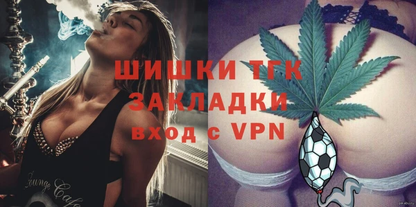 индика Алексин