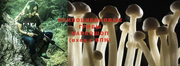 индика Алексин