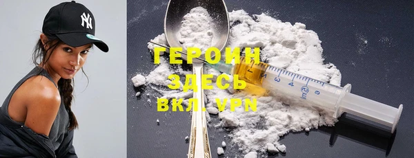 индика Алексин