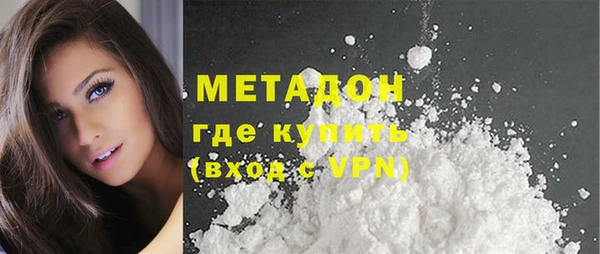 индика Алексин