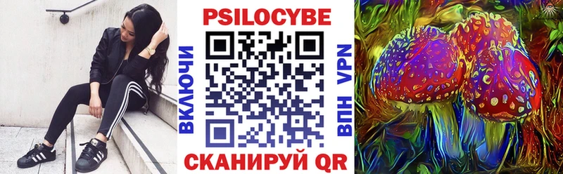 Галлюциногенные грибы Psilocybine cubensis  Карачаевск 