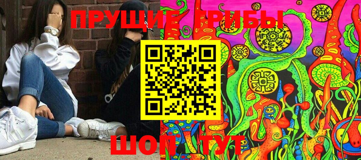 Псилоцибиновые грибы Cubensis  Вход с VPN  Карачаевск 